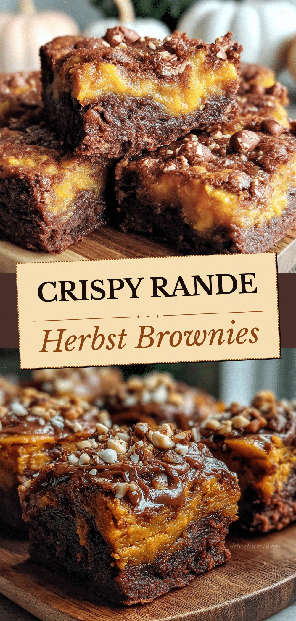 Erntedankfest Haselnuss-Kürbis Brownies: 10 Best Hostessen-Rezept 5 Erntedankfest Haselnuss-Kürbis Brownies recipe