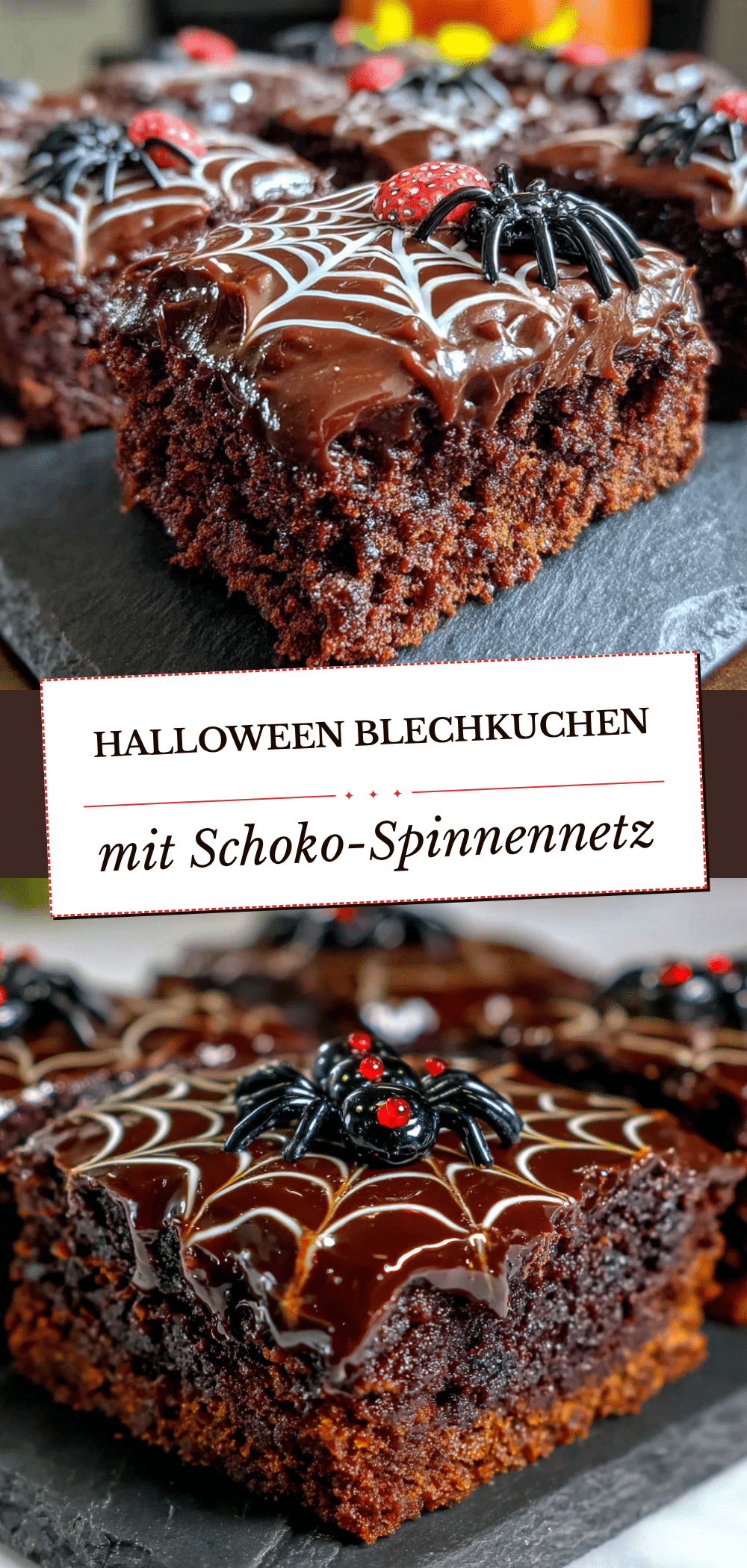 Halloween Blechkuchen mit Schoko-Spinnennetz: Günstig & Einfach 5 Halloween Blechkuchen recipe
